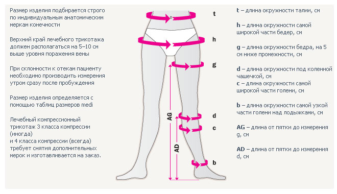 Как измерить длину ног у женщин схема